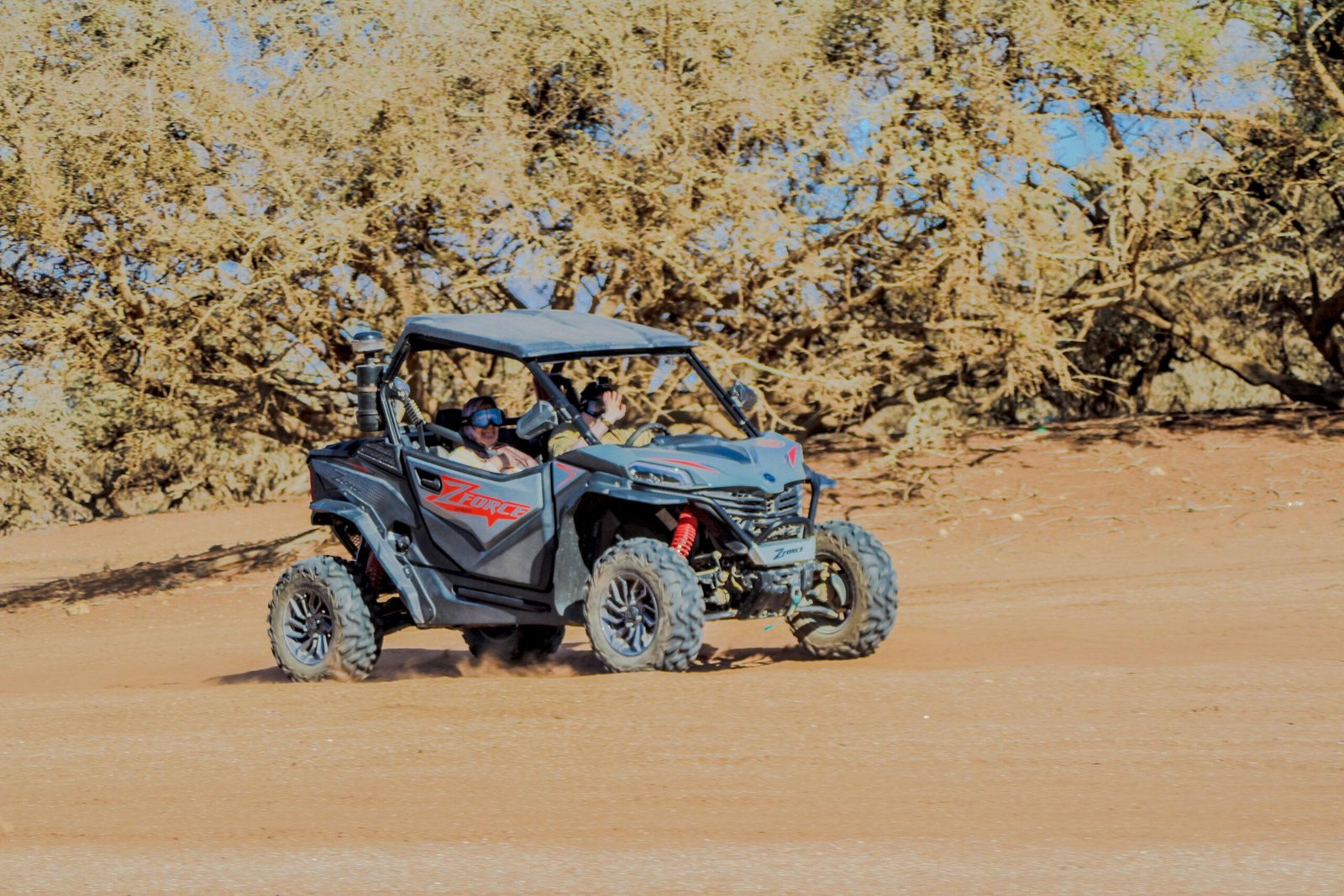 Half-Day Buggy Tour with Lunch