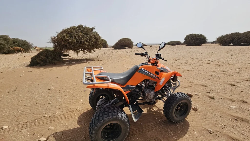 Half-Day Quad Biking Agadir