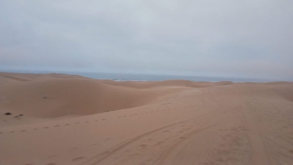 IMG-20241115-WA0057