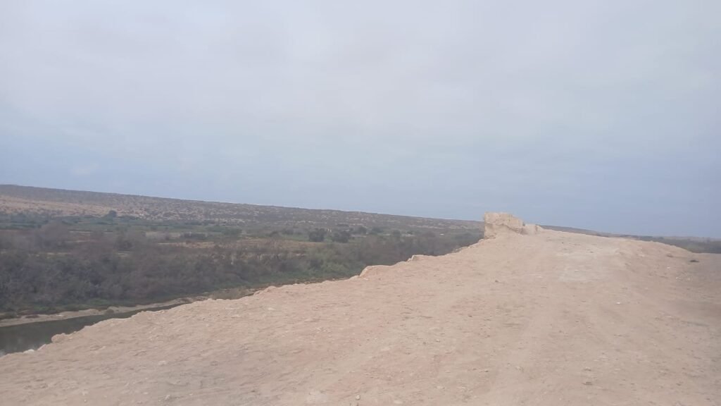 IMG-20241115-WA0062