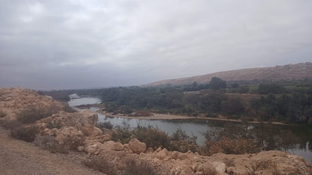 IMG-20241115-WA0064